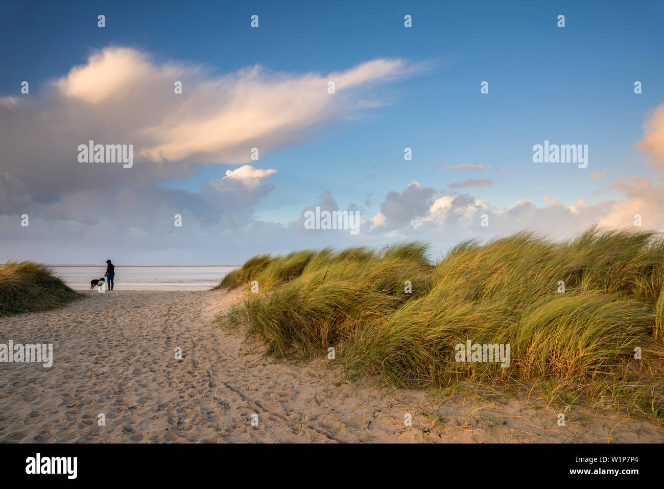 Path between sand dunes in evening light, North Sea, Wattenmeer National Park, Schillig, Wangerland, Friesland District, Lower Saxony, Germany, Europe Stock Photo