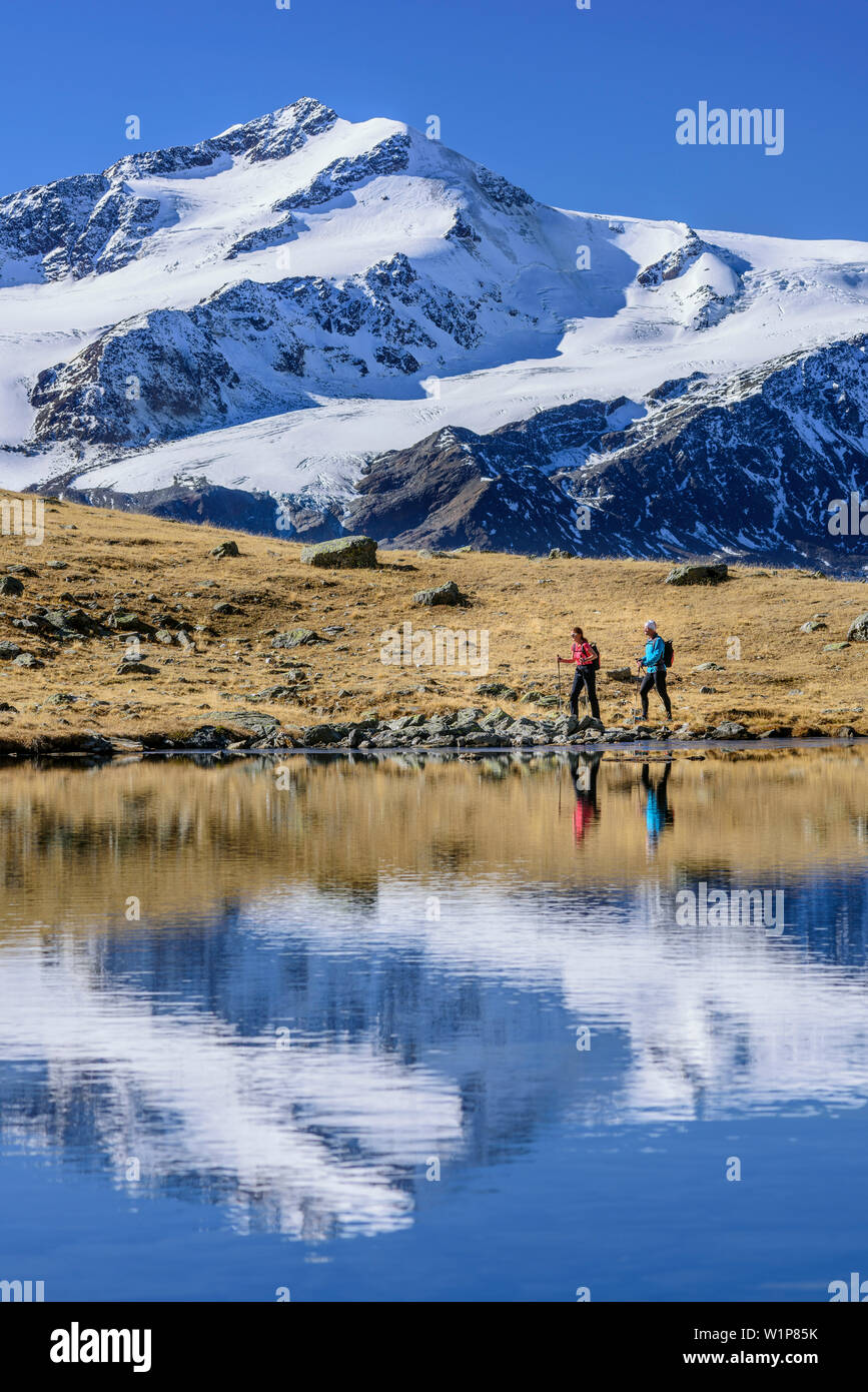 Man and woman hiking at mountain lake with Cevedale in background, valley of Martelltal, Ortler group, South Tyrol, Italy Stock Photo