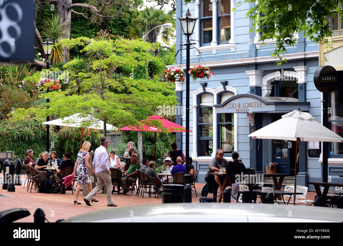 on the Trafalgar in Nelson, South Island, New Zealand Stock Photo