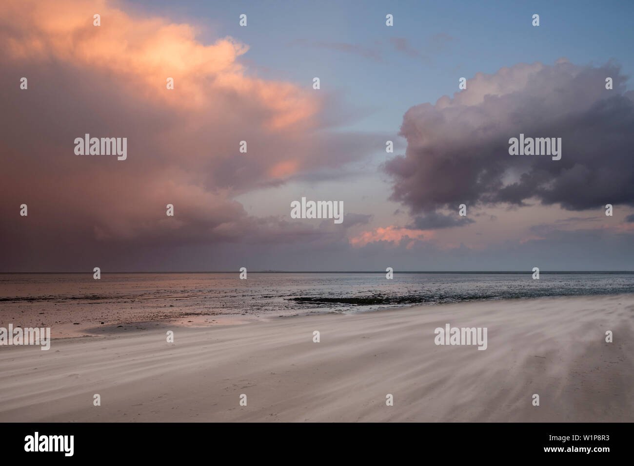 Sandy beach in evening light at storm, North Sea, Wattenmeer National Park, Schillig, Wangerland, Friesland District, Lower Saxony, Germany, Europe Stock Photo