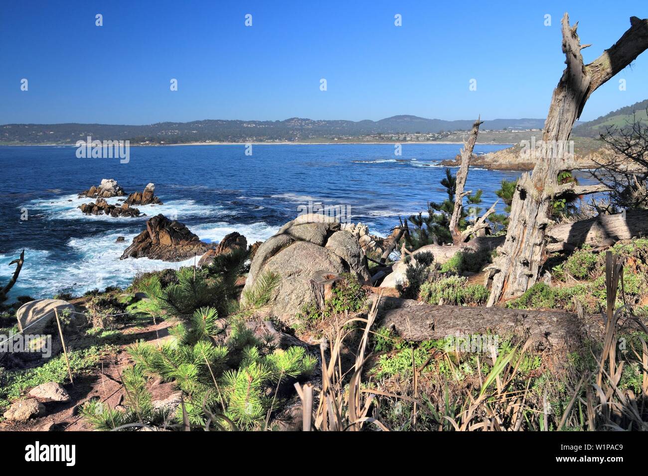 California landscape, USA - Point Lobos State Reserve. Pacific coast view with Carmel Bay. Stock Photo