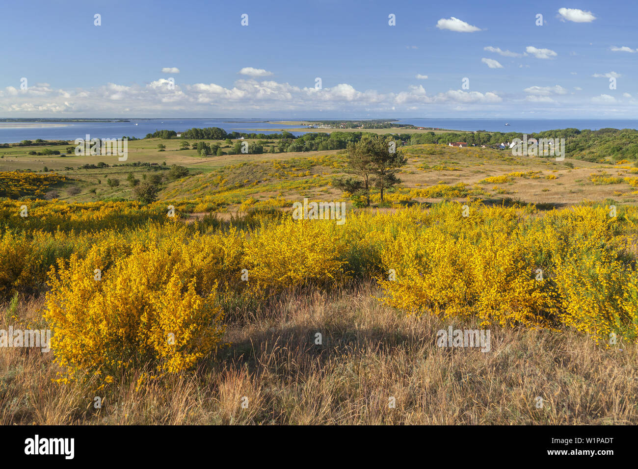 View from the Inselblick on the Dornbusch near Kloster, Island Hiddensee, Baltic coast, Mecklenburg-Western Pomerania, Northern Germany, Germany, Euro Stock Photo