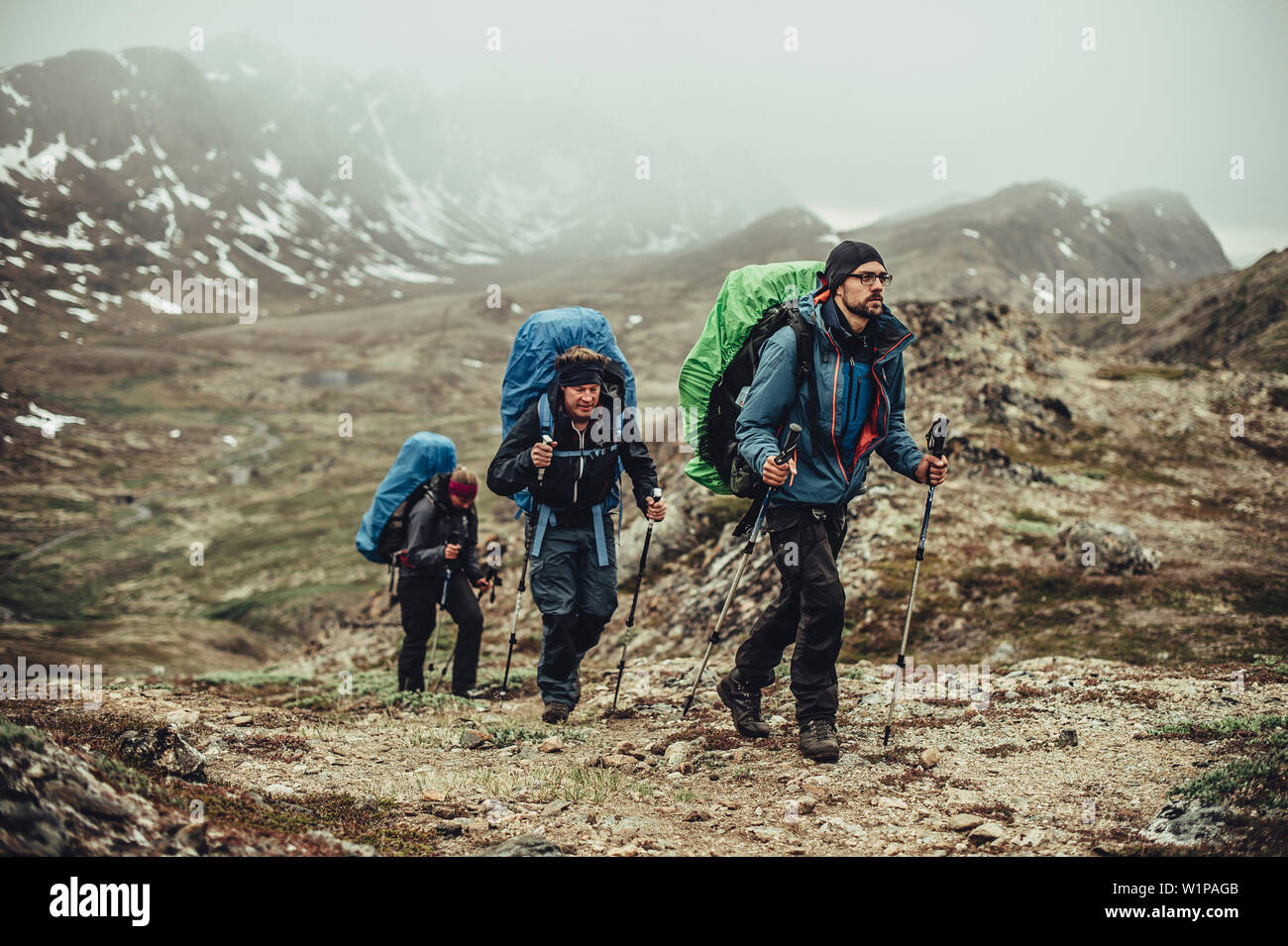 Hiker On A Route Through Greenland Greenland Arctic Stock Photo Alamy