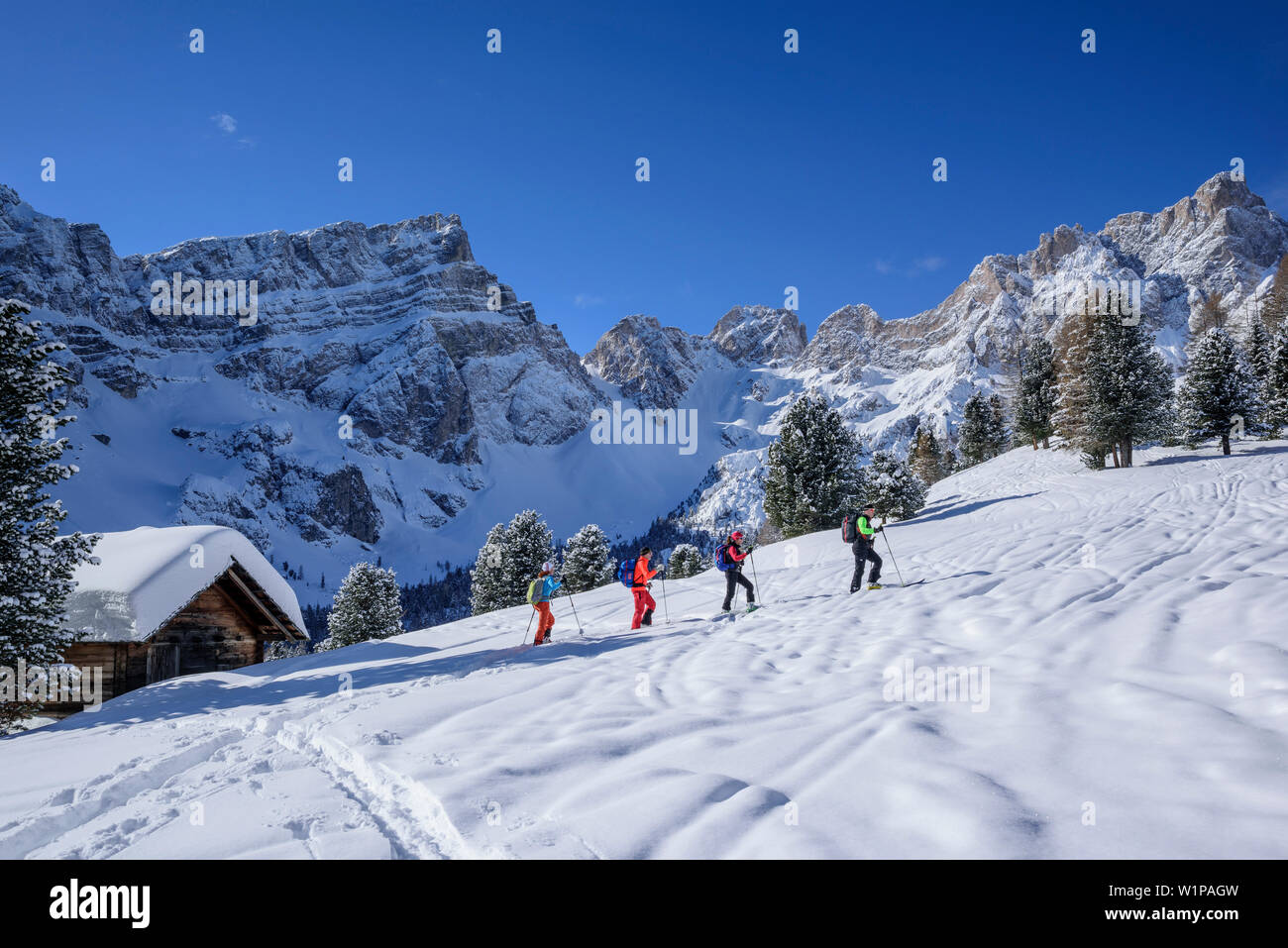 Several persons backcountry skiing ascending to Medalges, Geisler range in background, Medalges, Natural Park Puez-Geisler, UNESCO world heritage site Stock Photo