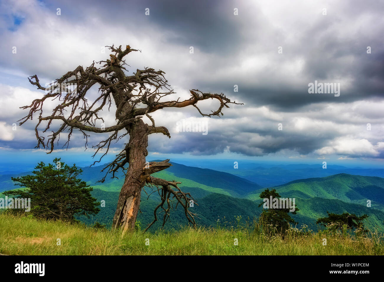 Blue Ridge Mountain Top Views