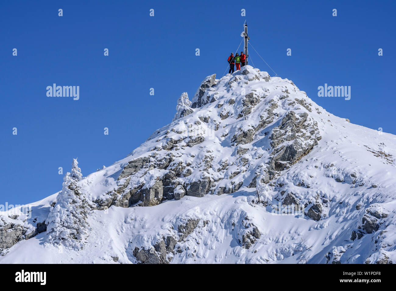 Three persons backcountry skiing standing at summit of Wildalpjoch, Wildalpjoch, Bavarian Alps, Upper Bavaria, Bavaria, Germany Stock Photo