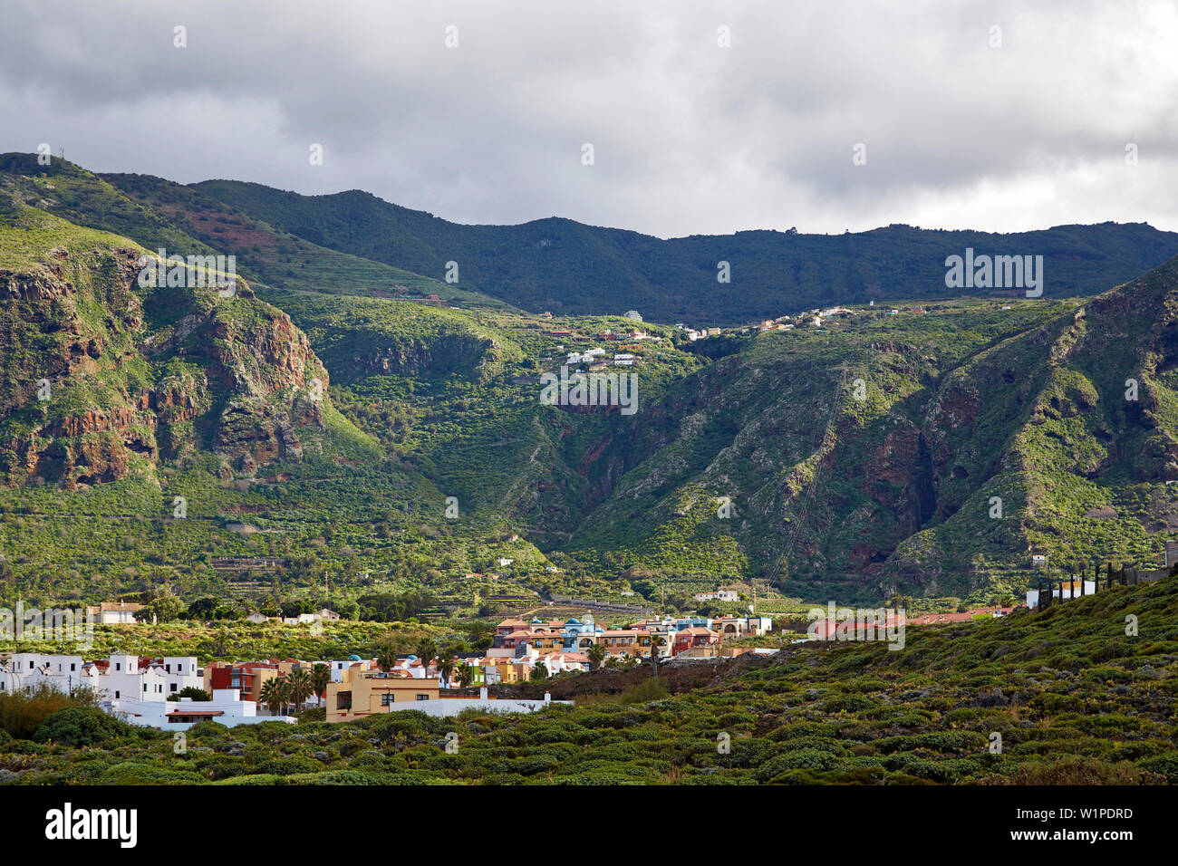 View from Puertito de los Silos across luxuriant vegetation at La Tierra del Trigo, Tenerife, Canary Islands, Islas Canarias, Atlantic Ocean, Spain, E Stock Photo
