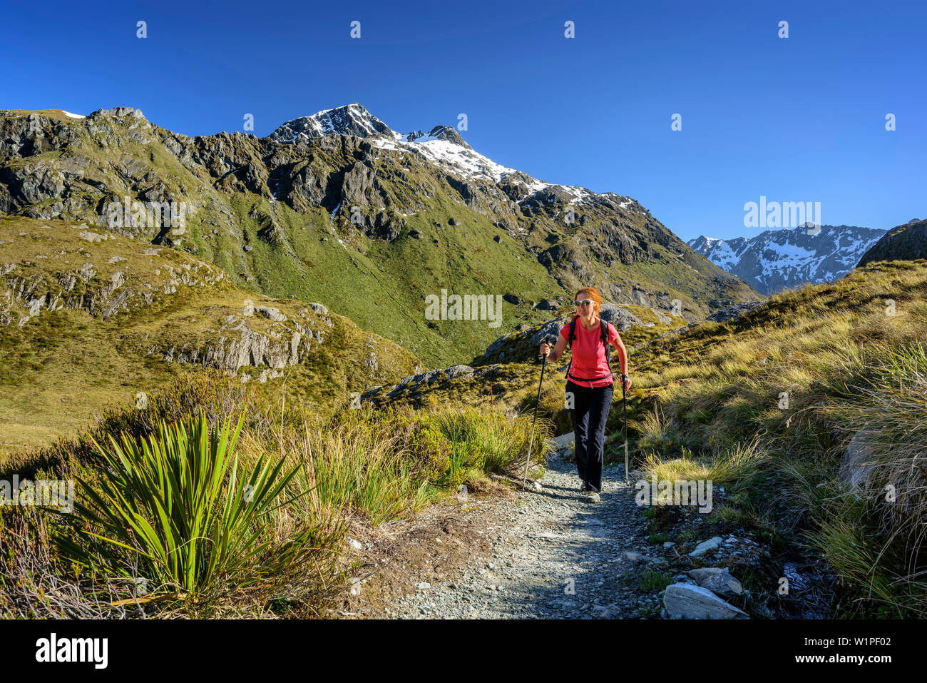 Woman hiking through mountain valley, Routeburn Track, Great Walks, Fiordland National Park, UNESCO Welterbe Te Wahipounamu, Queenstown-Lake District, Stock Photo