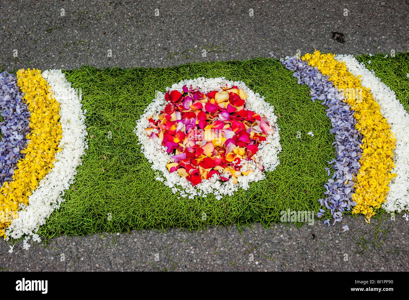 People arranging petals for the flower carpet, Corpus Christi, Feast of