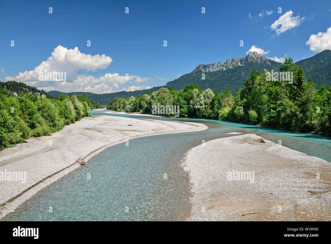 River Lech with Saeuling in background, Lechweg, Reutte, valley of Lech, Tyrol, Austria Stock Photo