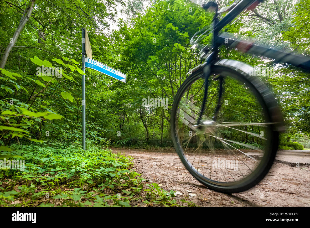 Lyonel-Feininger-cycling trail, Usedom island, Mecklenburg-Western Pomerania, Germany Stock Photo