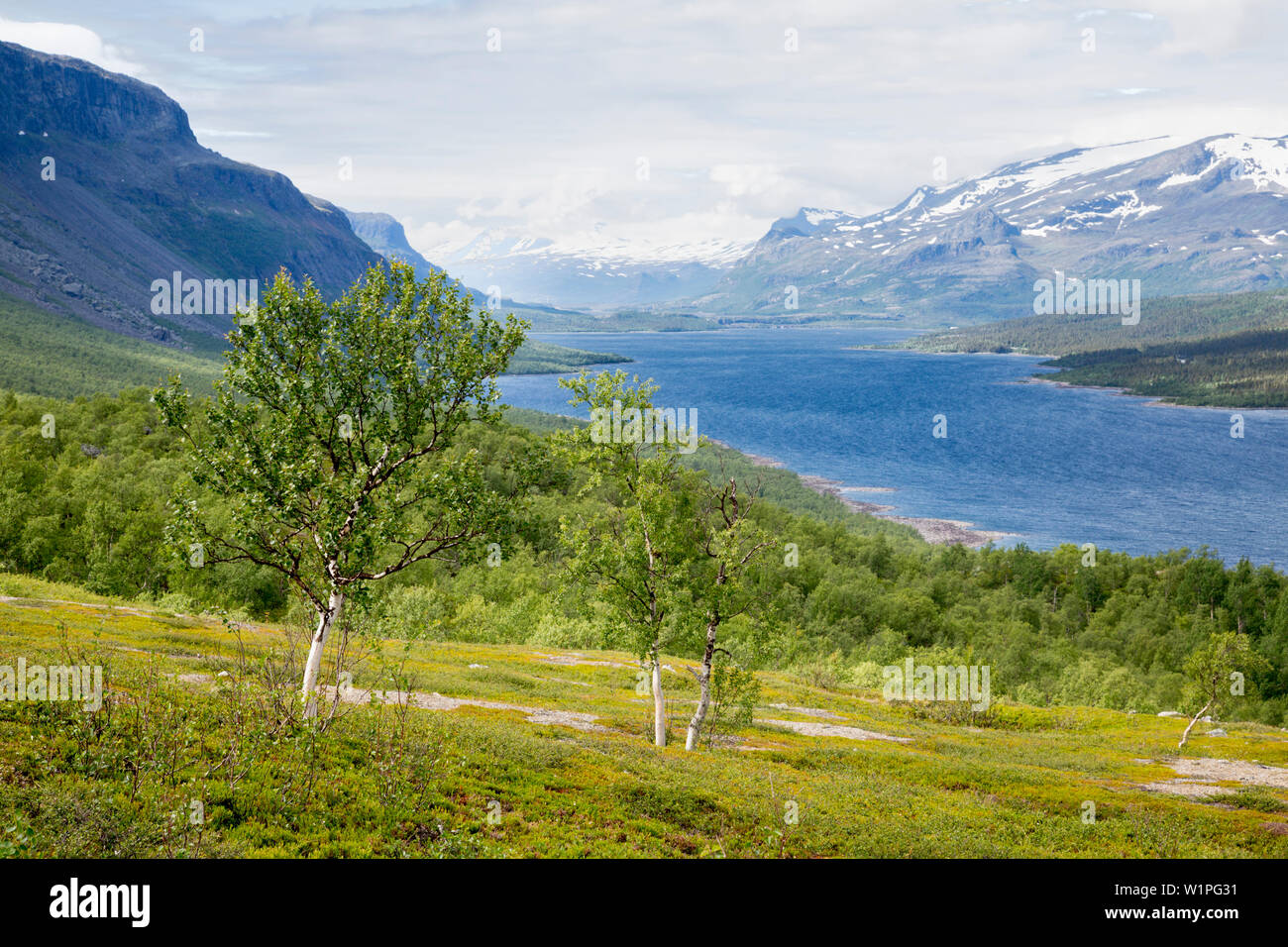 The lake Langas near Saltoluokta, Laponia, Lapland, Sweden. Trekking the Kungsleden. Stock Photo