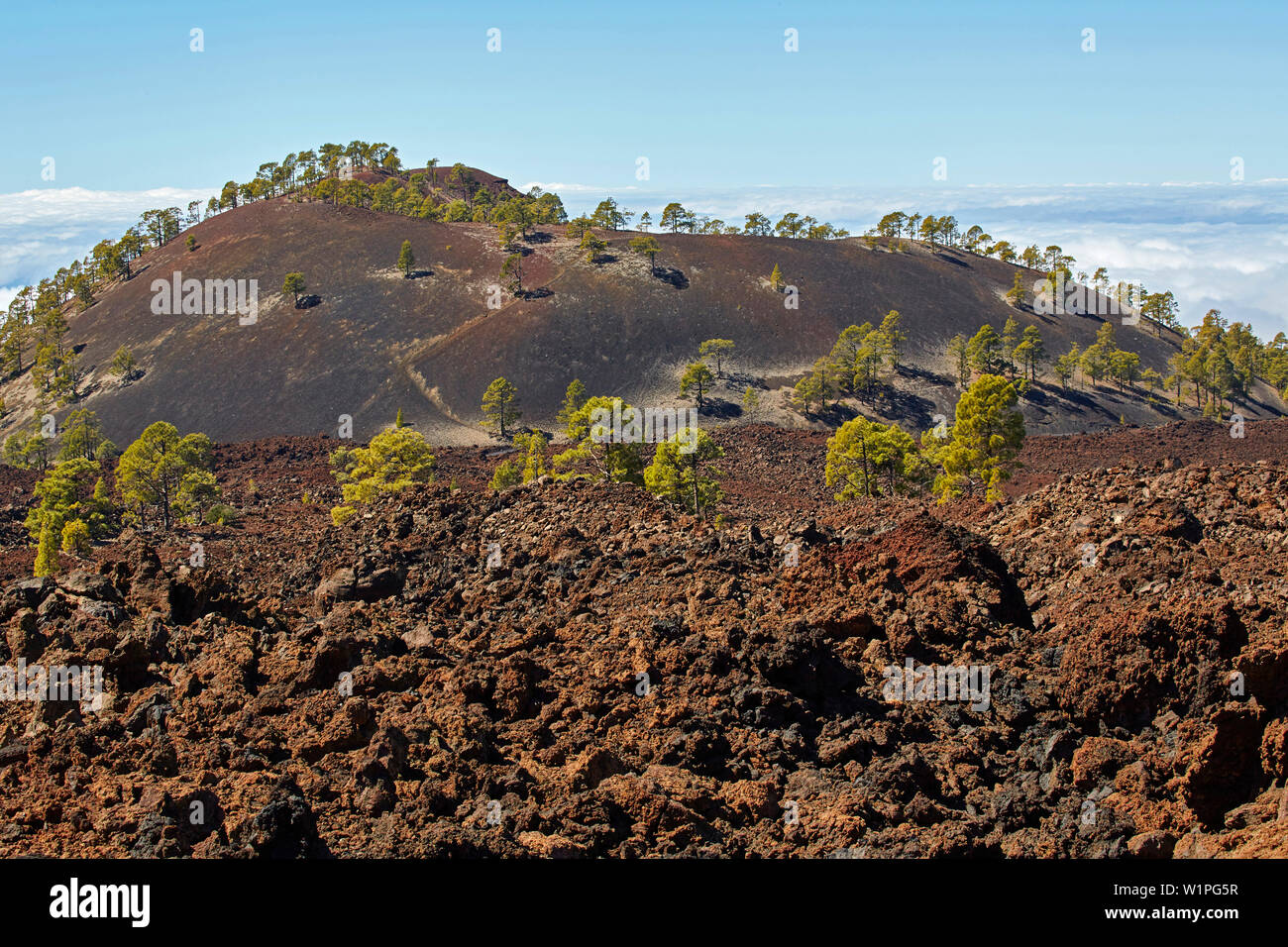 Montana Samara, Parque Nacional del Teide, Natural Heritage of the World, Tenerife, Canary Islands, Islas Canarias, Spain, Europe Stock Photo