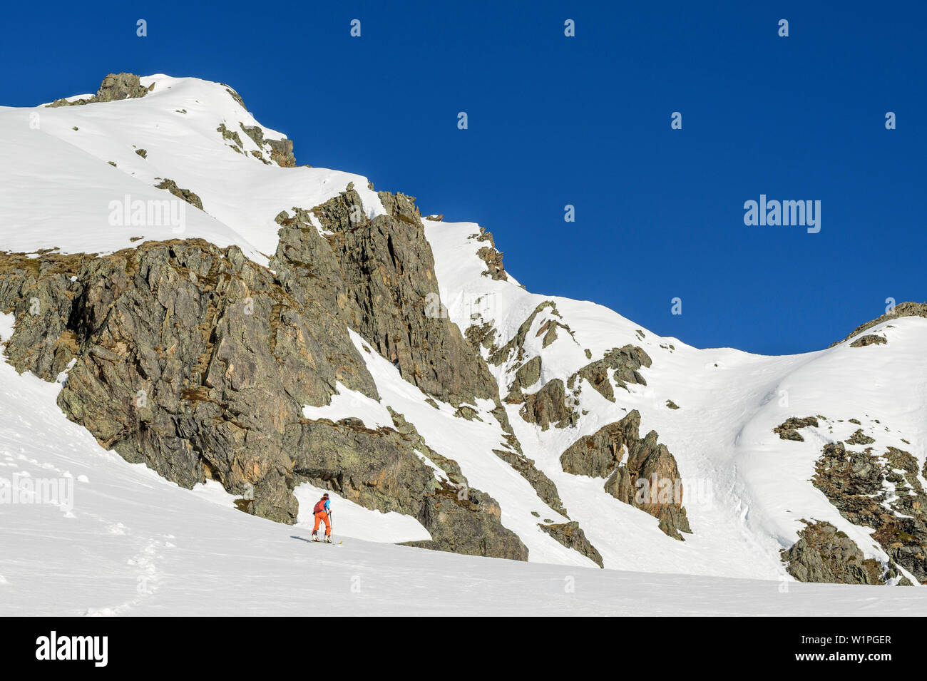 Woman backcountry-skiing ascending towards Steintalspitze, Steintalspitze, Sellrain, Stubai Alps, Tyrol, Austria Stock Photo