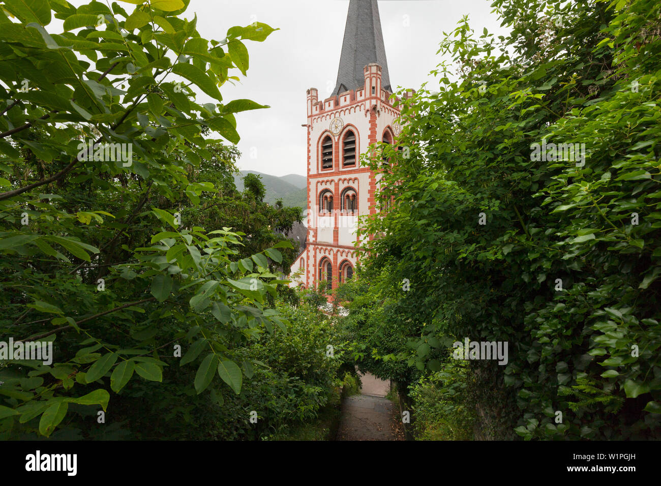 St. Peters church, Bacharach, Rhine river, Rhineland-Palatinate, Germany Stock Photo