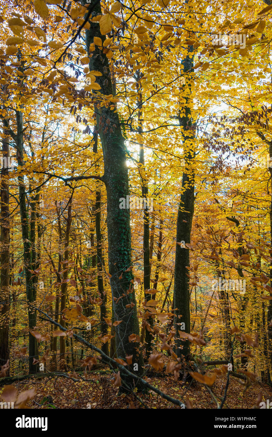 Uberlingen lake constance hires stock photography and images Alamy