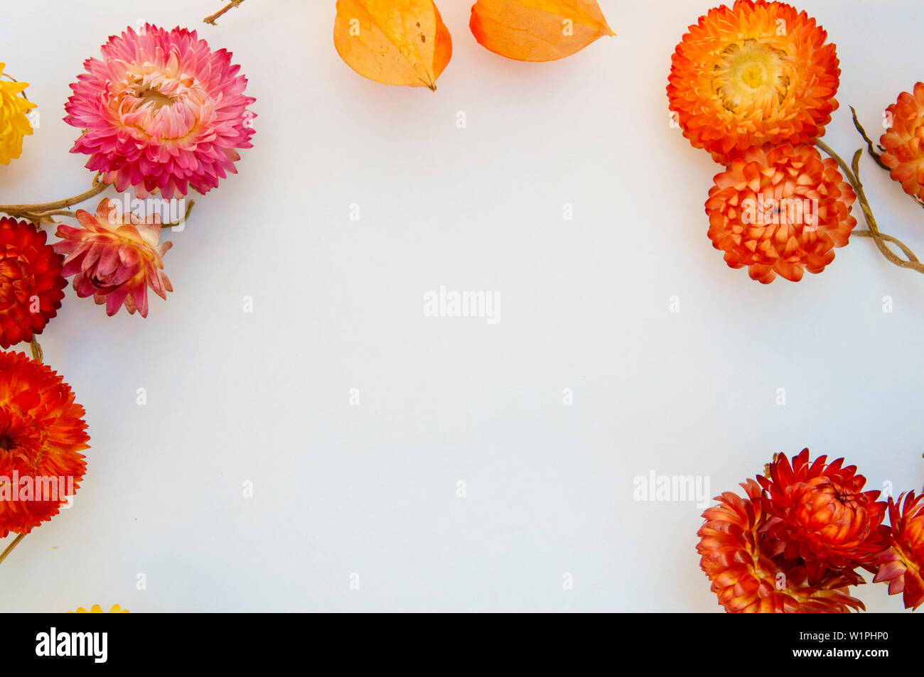 Red pink and yellow flowers hi-res stock photography and images - Alamy