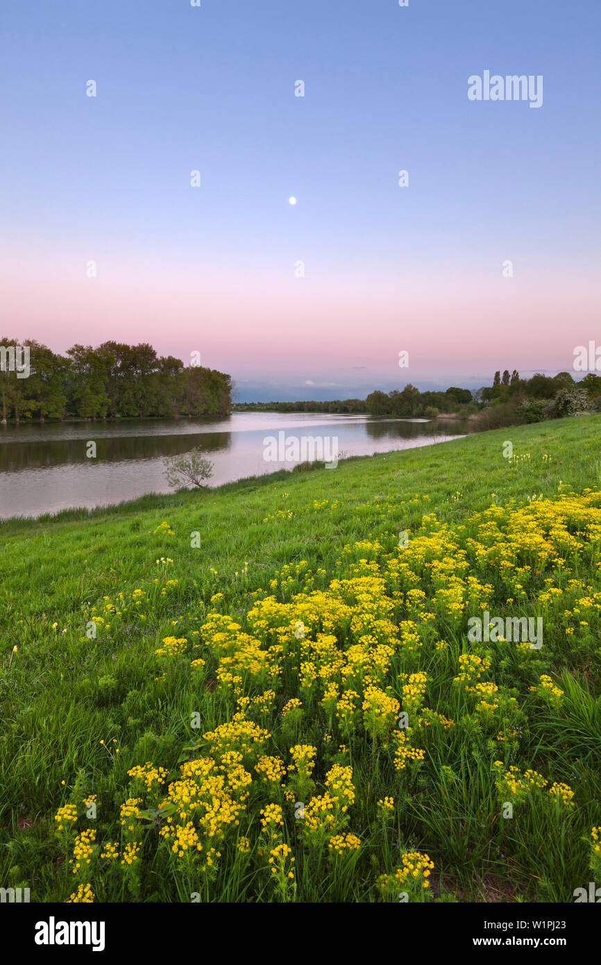 Full moon, Birtener Altrhein, old arm of the Rhine river, near Xanten, Lower Rhine, North-Rhine Westphalia, Germany Stock Photo