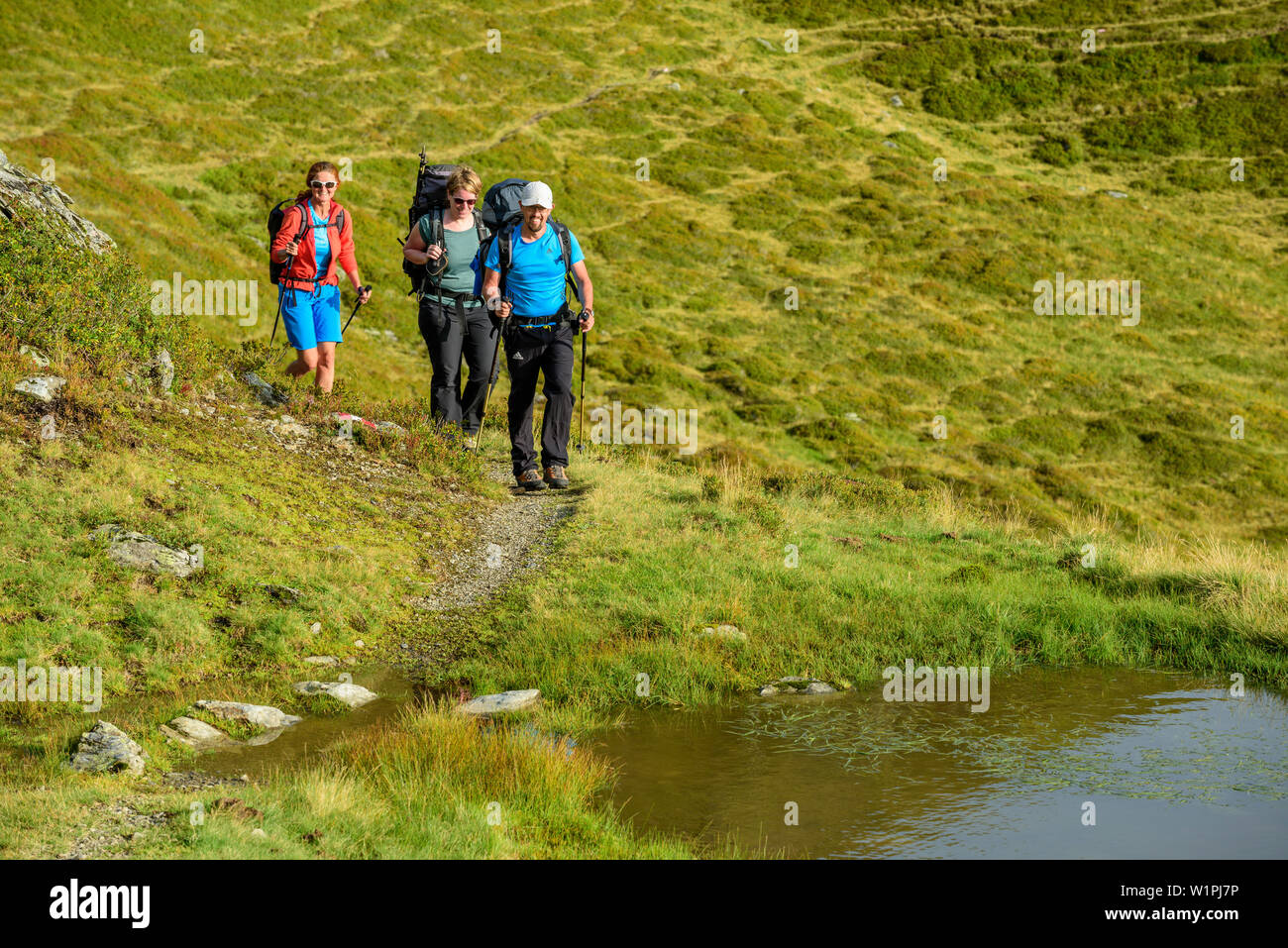 Three persons hiking at Pinzgau walk, Pinzgau walk, Kitzbuehel Alps, Salzburg, Austria Stock Photo