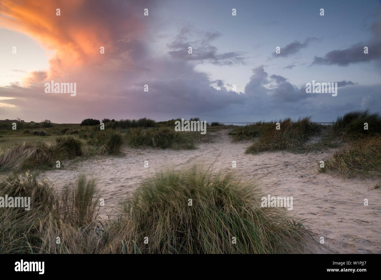 Sand dunes in evening light at storm, North Sea, Wattenmeer National Park, Schillig, Wangerland, Friesland District, Lower Saxony, Germany, Europe Stock Photo