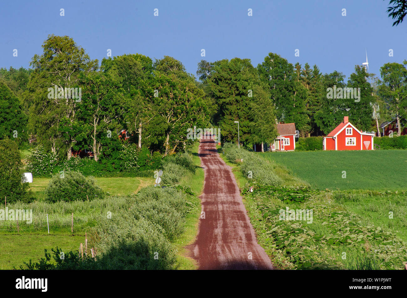Landscape at the foot of the Omberg, Lake Vättern, Östergötland, Sweden ...