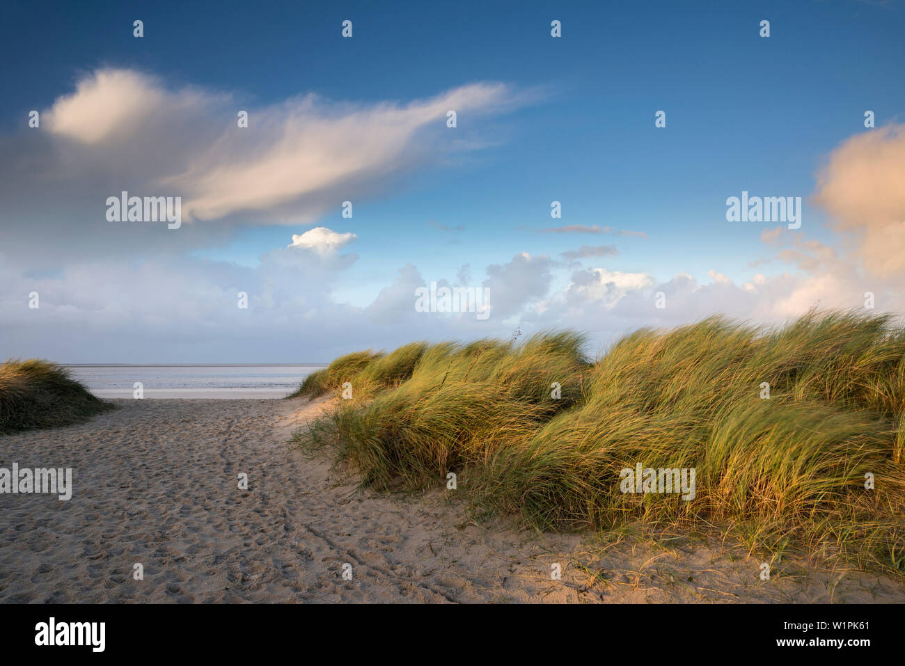 Path between sand dunes in evening light, North Sea, Wattenmeer National Park, Schillig, Wangerland, Friesland District, Lower Saxony, Germany, Europe Stock Photo