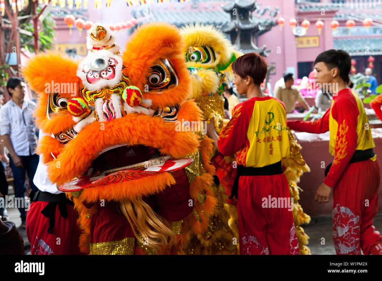 Vietnamese new year with dragon show in Saigon, Vietnam, Asia Stock