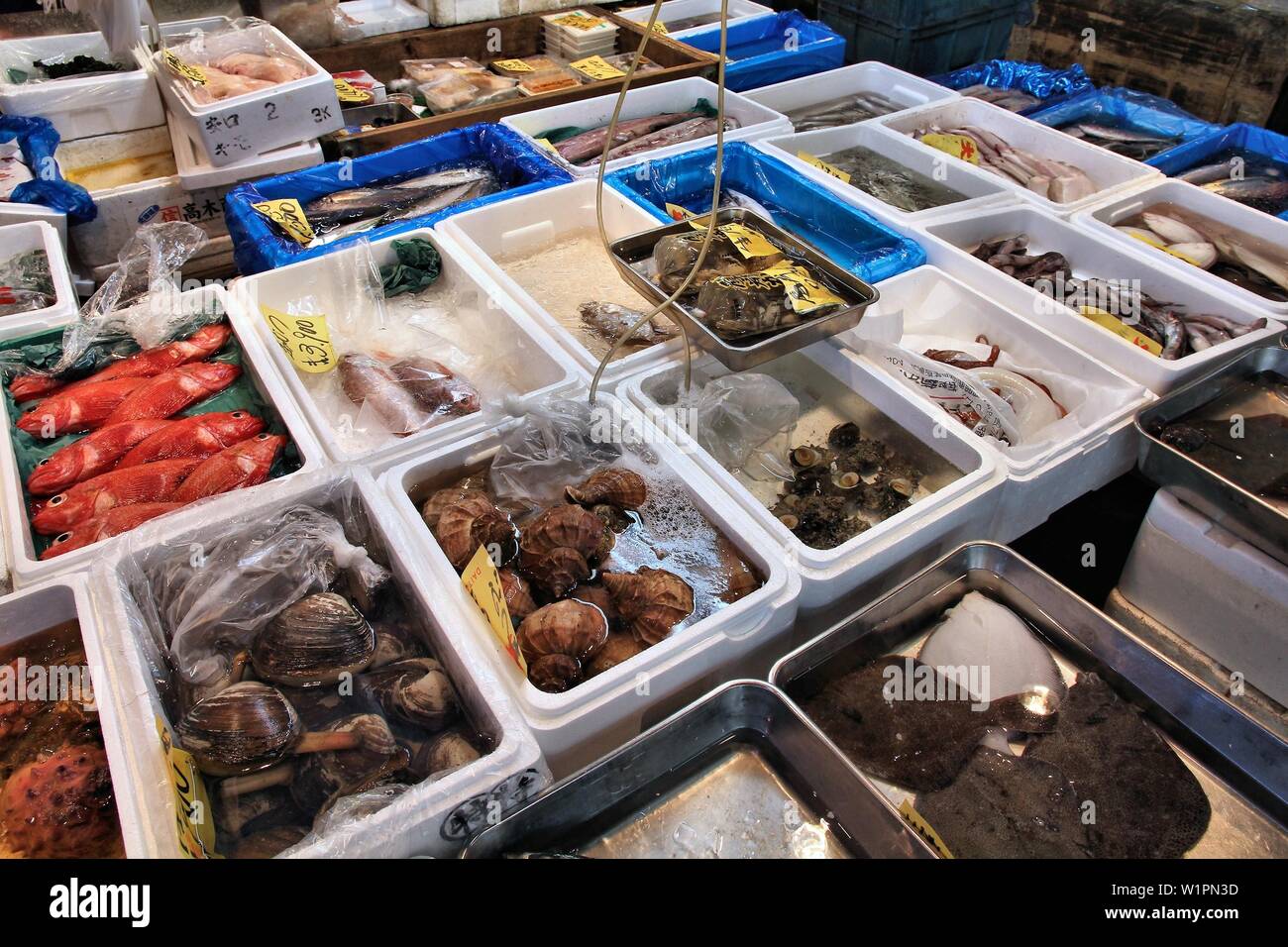 TOKYO, JAPAN MAY 11, 2012 Seafood choice at famous Tsukiji Fish