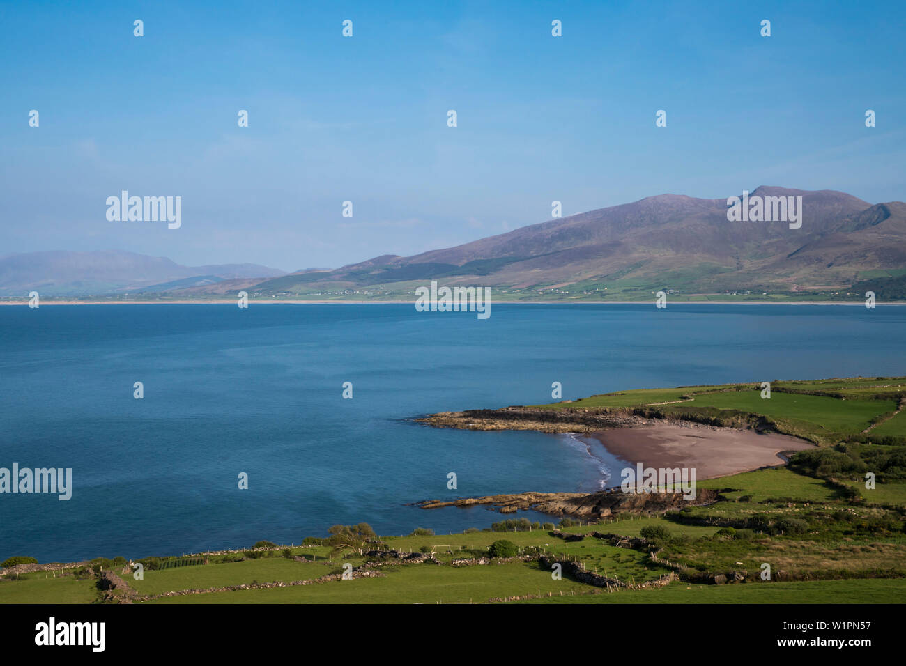 Bay of Fahamore with green fields, sheep pastures and views of the Dingle Peninsula seen from while walking the Dingle Way, Ballydavid North, Brandon, Stock Photo