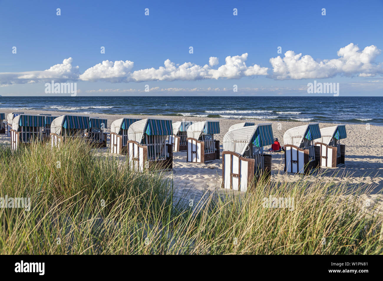 Beach chairs on the beach in Baltic resort Baabe, Island Ruegen, Baltic