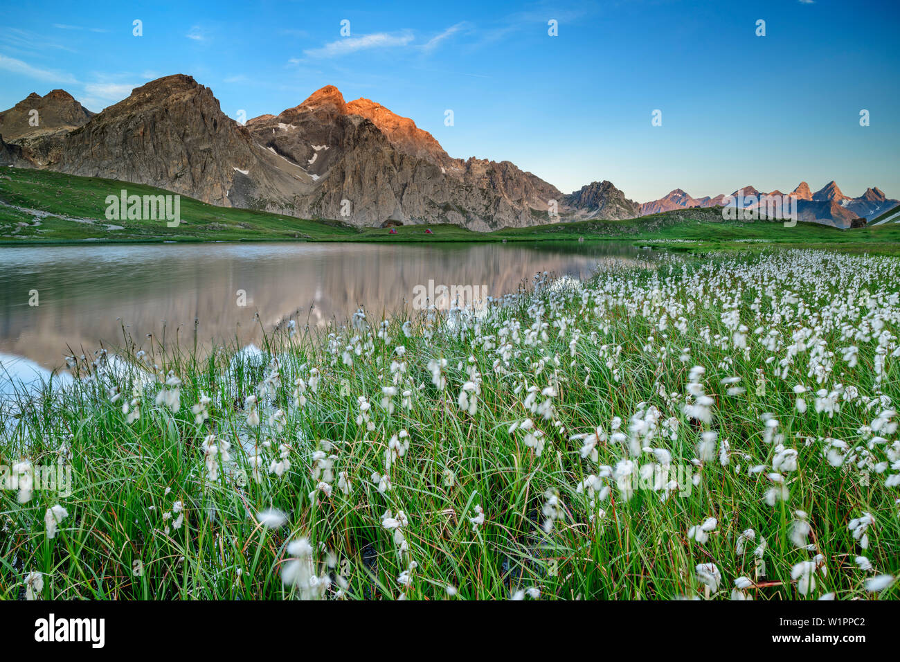 Cotton grass with lake Lac Cerces and Grand Galibier and Aiguilles d' Arves, lake Lac Cerces, Dauphine, Dauphiné, Hautes Alpes, France Stock Photo