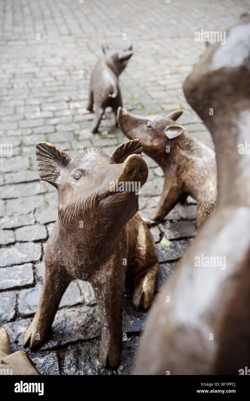 pigs made of bronze, Schweinfurt, Under Franconia, Bavaria, Germany Stock Photo