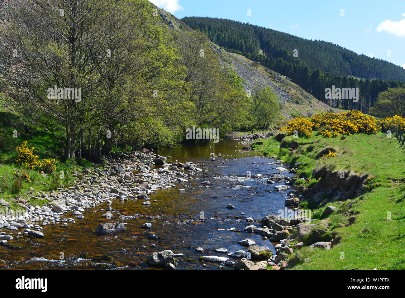 River Breamish, Ingram Valley, Northumberland Stock Photo