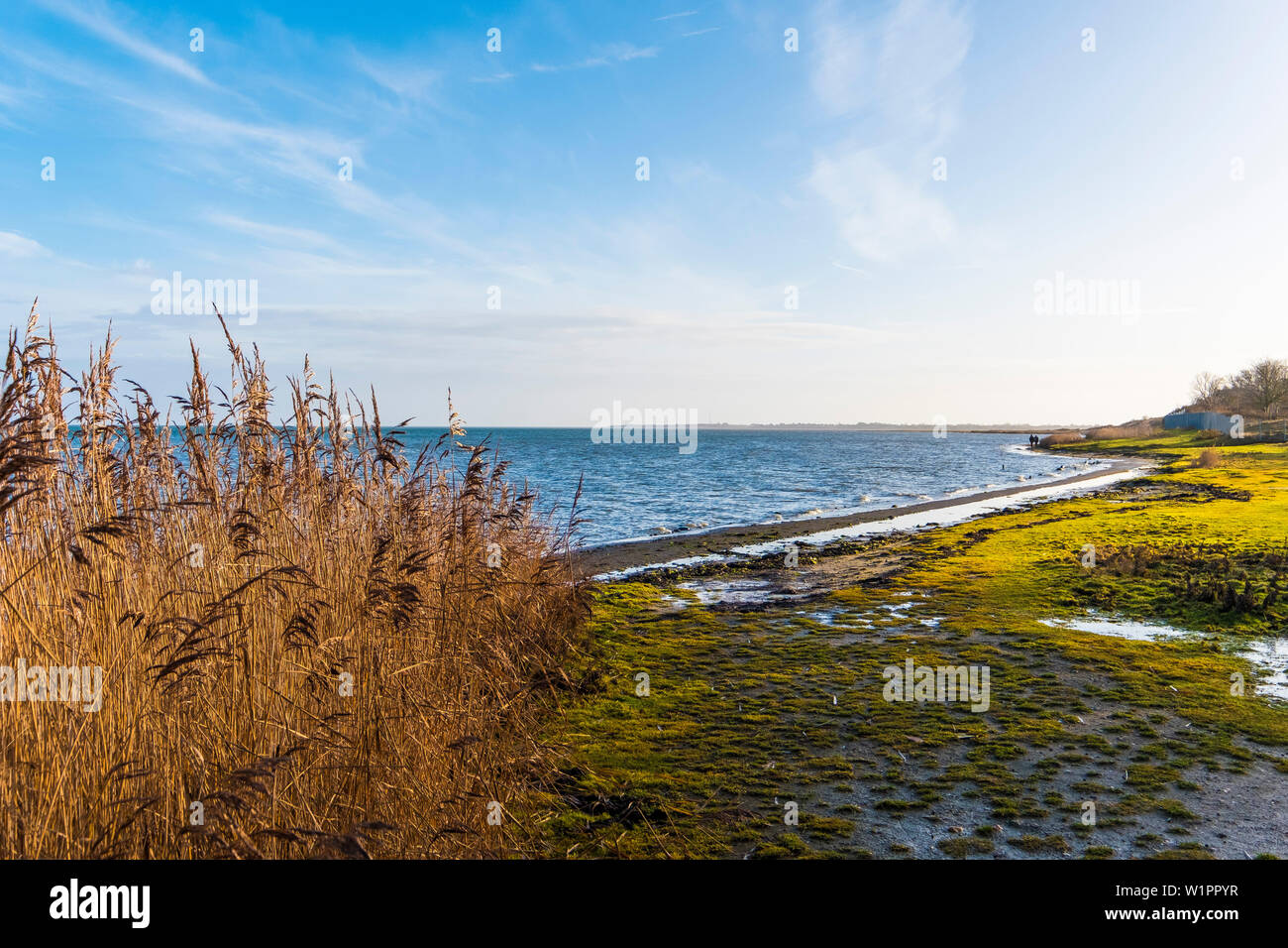 sunrise at Keitum on the island of Sylt, Schleswig-Holstein, north Germany, Germany Stock Photo
