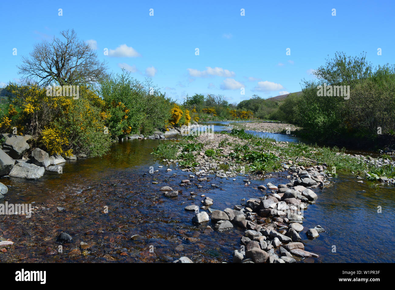 River Breamish, Ingram Valley, Northumberland Stock Photo