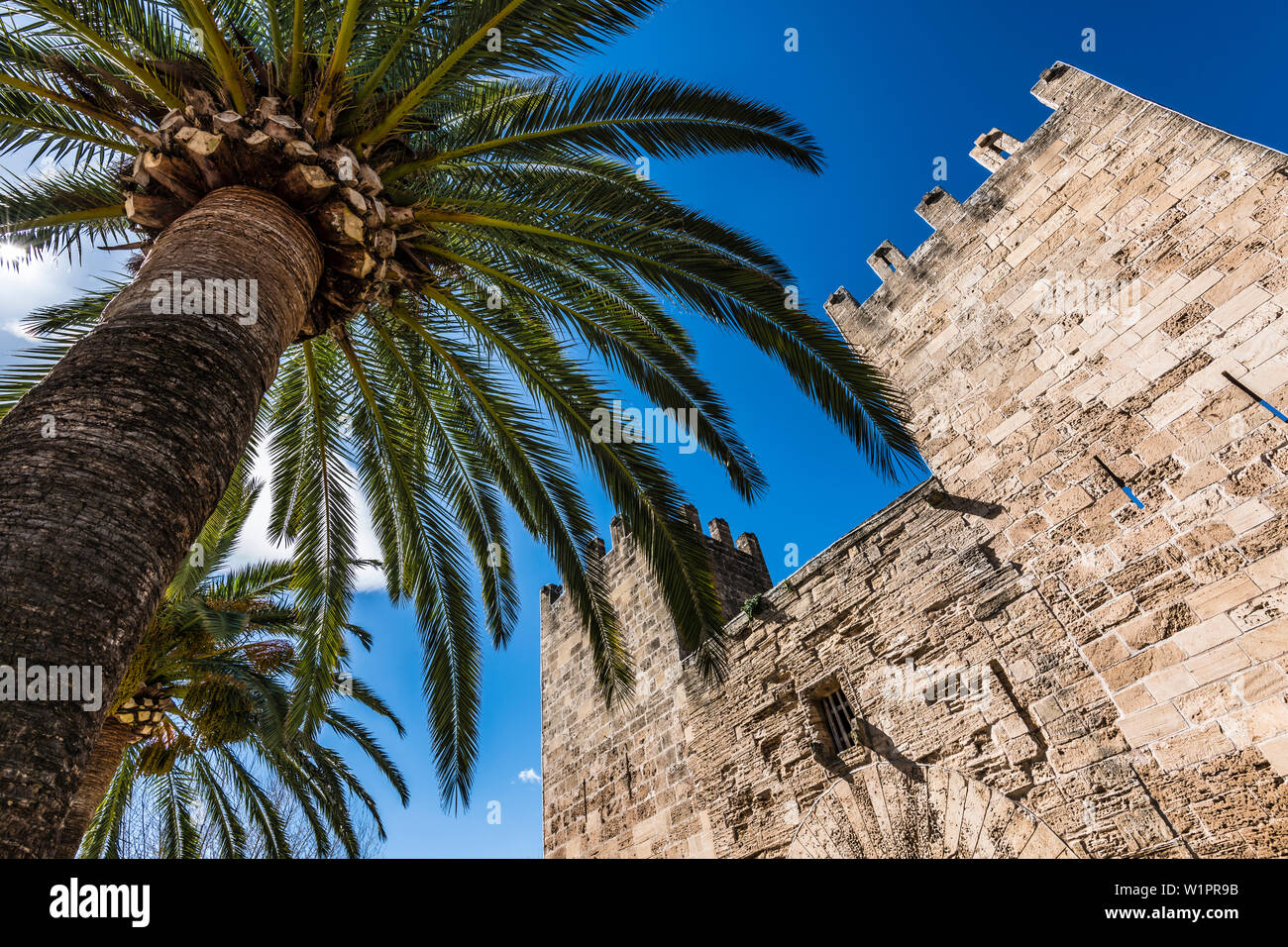 City gate with palm tree, Alcudia, Mallorca, Spain Stock Photo