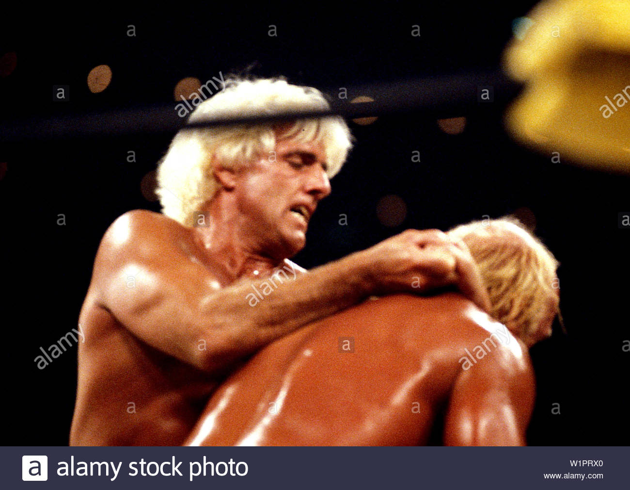 nature boy wrestler
