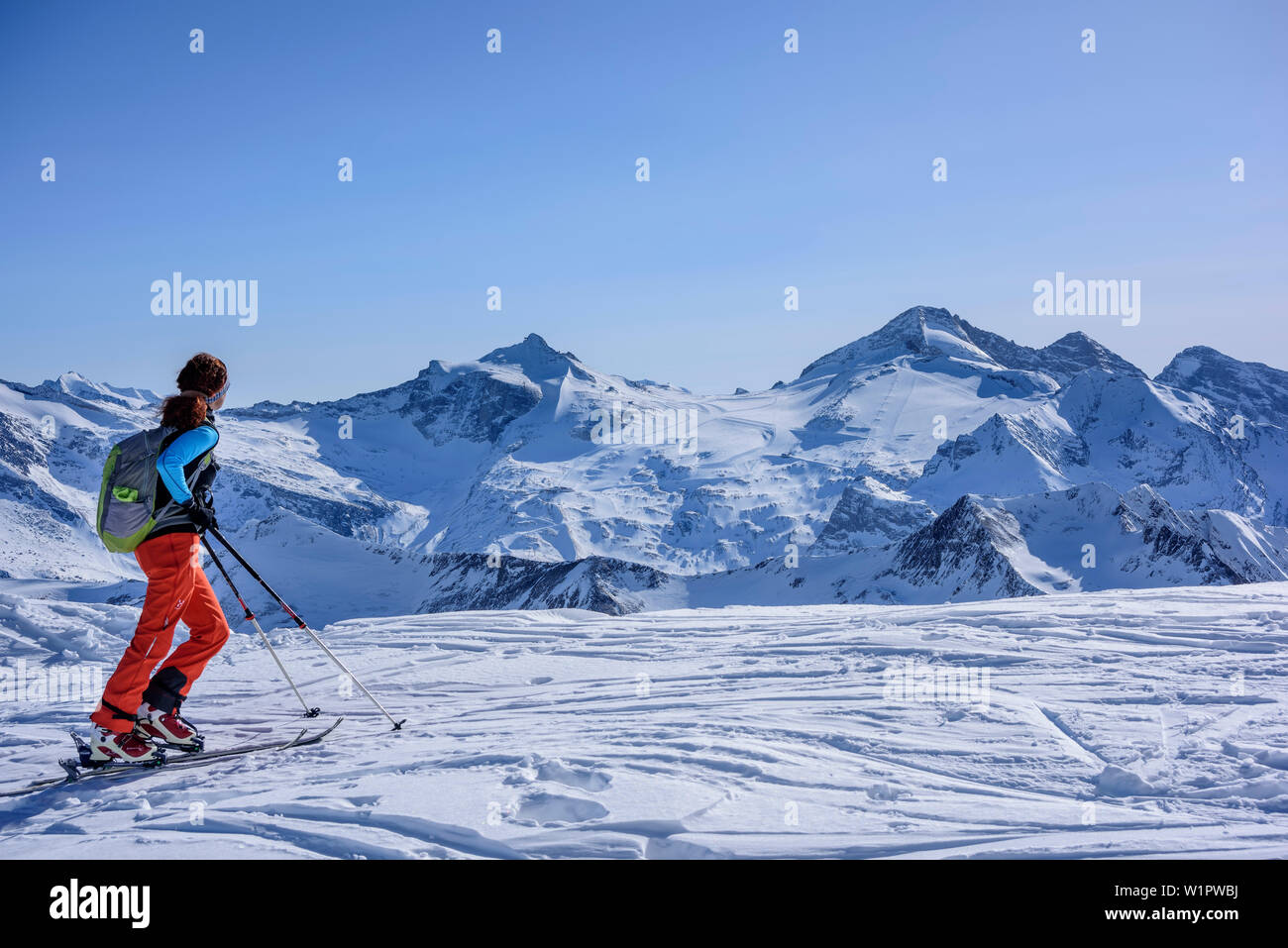 Woman backcountry skiing looking towards skiing area Tuxer Ferne, Geier, Tuxer Alps, Tyrol, Austria Stock Photo