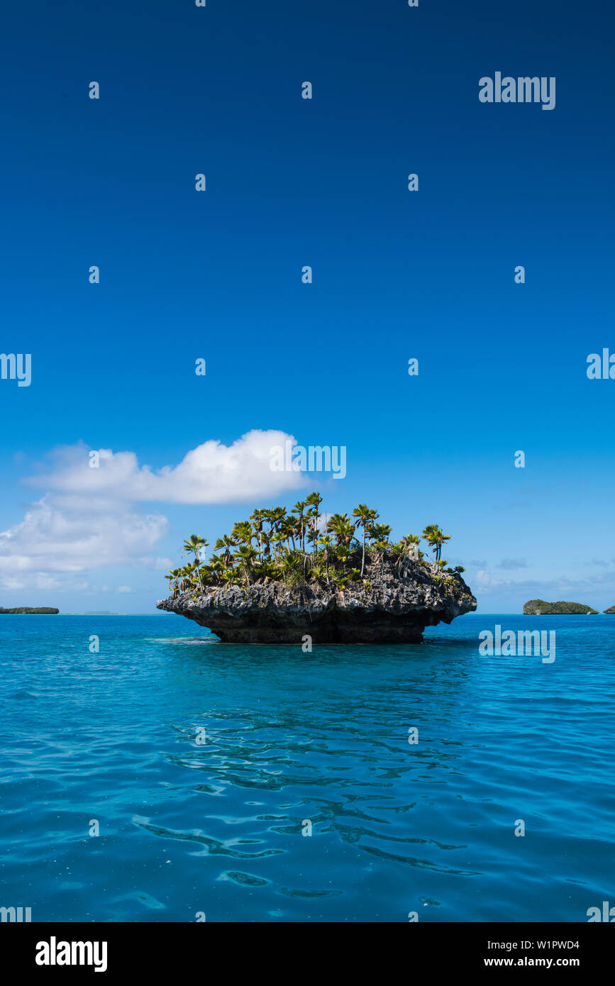 A tiny mushroom-shaped island covered with palm trees and bushes stands in turquoise waters, Fulaga Island, Lau Group, Fiji, South Pacific Stock Photo