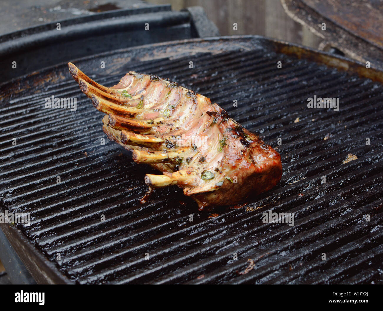 Grilled single rack of lamb on an outside grill; juicy meat still on the bone Stock Photo