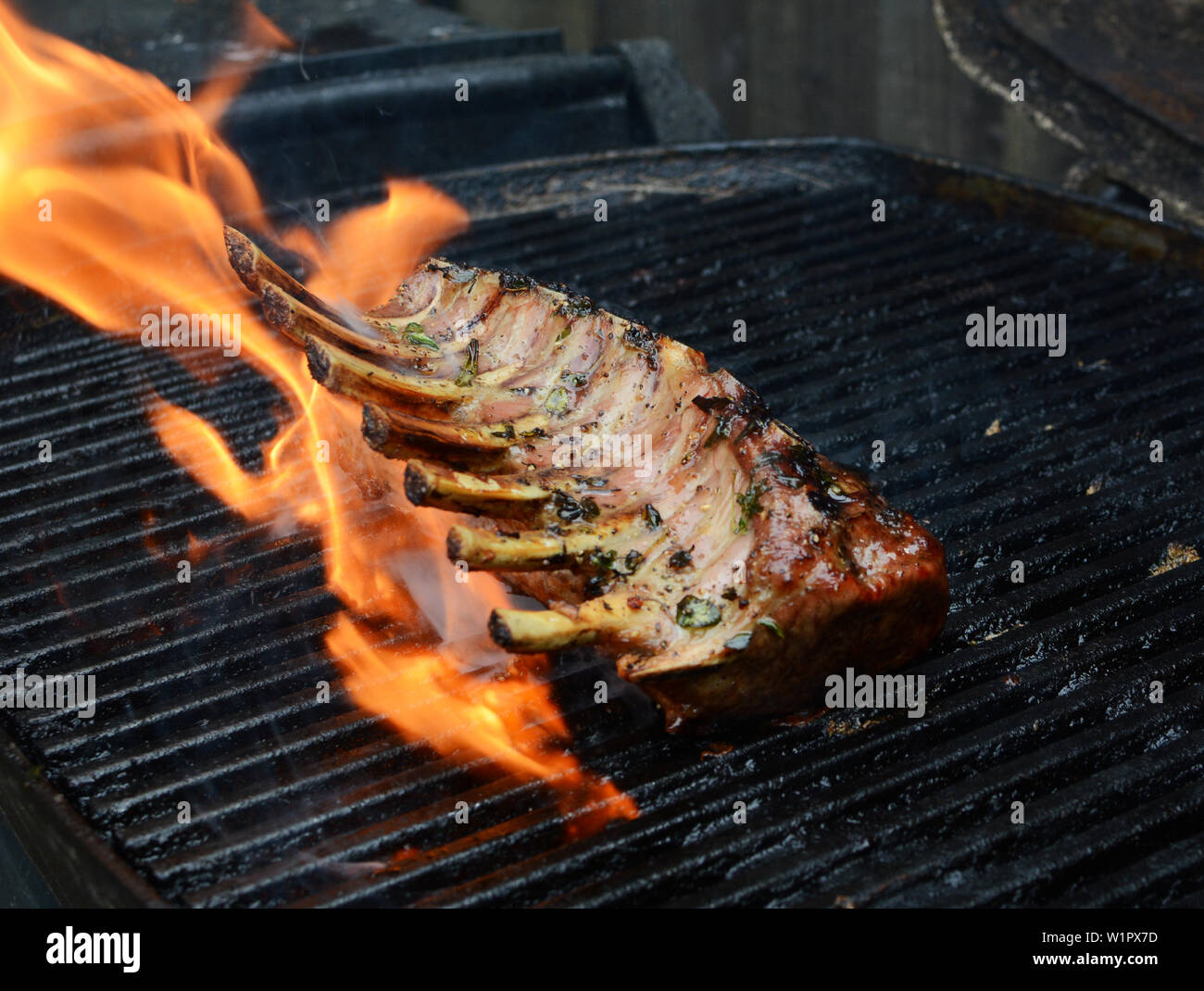 Large grilled rack of lamb over an open flame on a barbecue grill Stock Photo