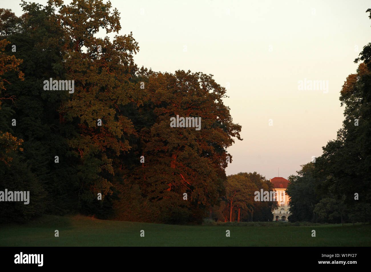 Groups Of Trees High Resolution Stock Photography and Images - Alamy