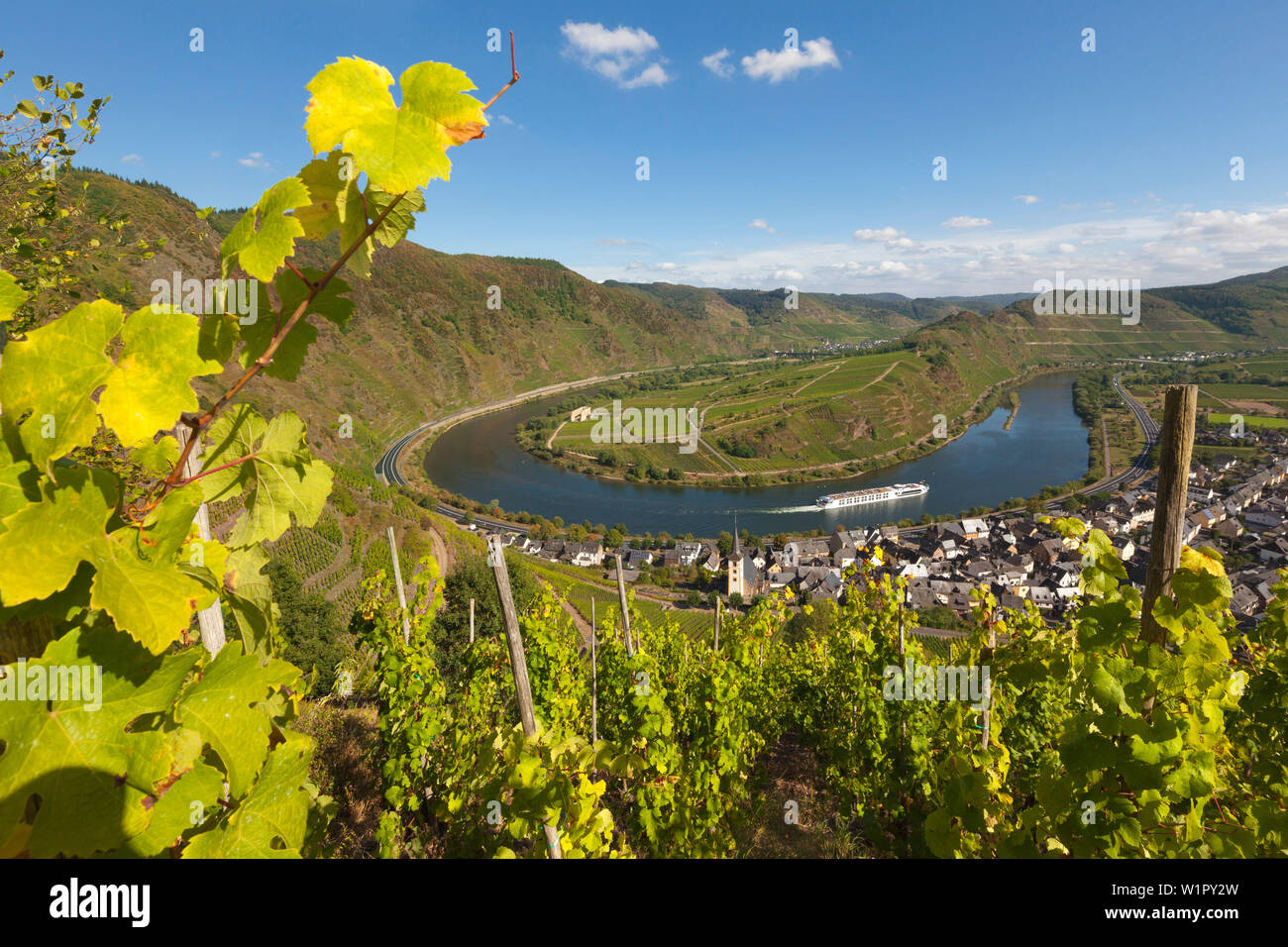 View from Bremmer Calmont vineyard over the Mosel river bend near Bremm, Mosel, Rhineland-Palatinate, Germany Stock Photo