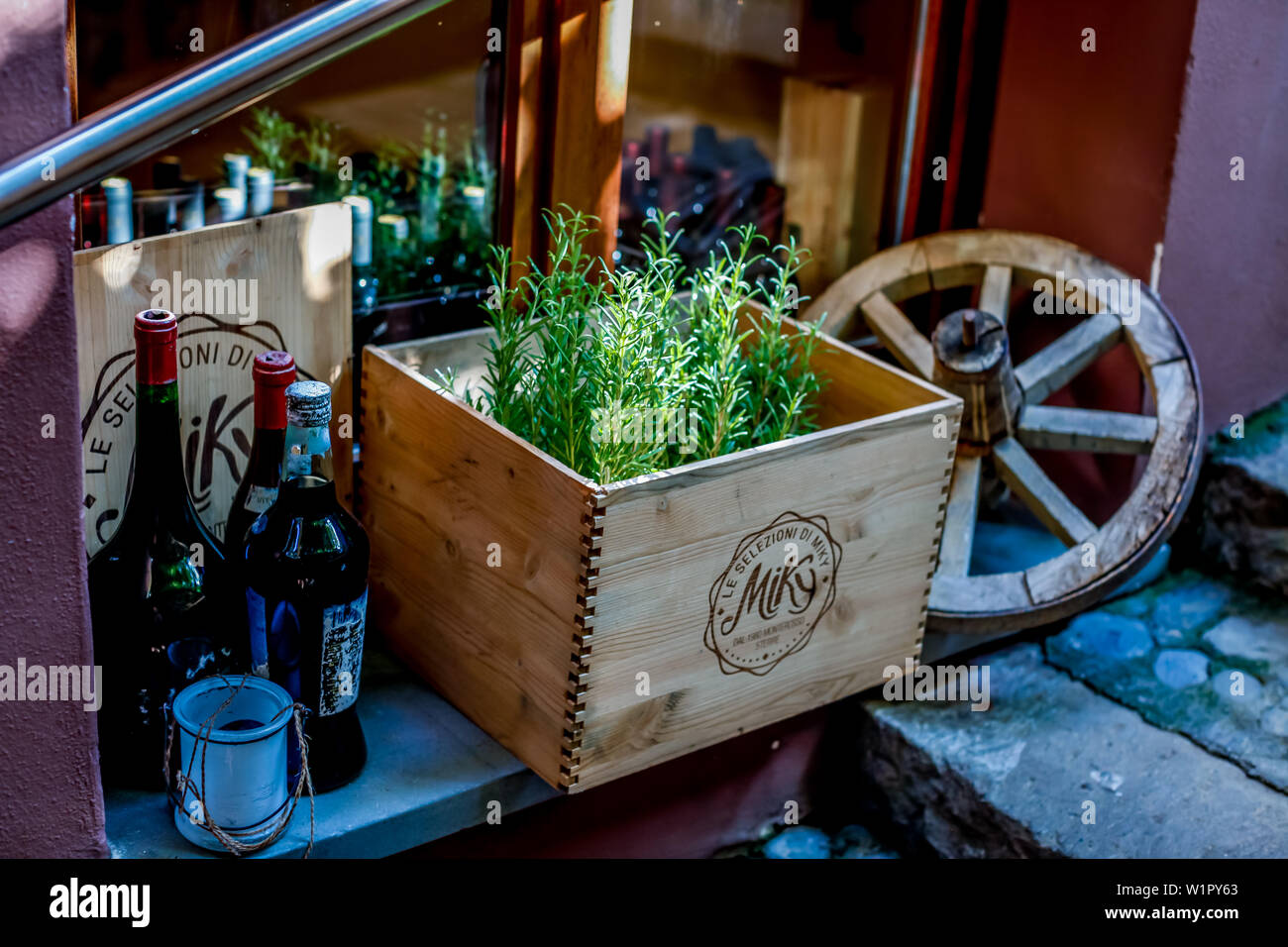 Domestic herbs, rosmarin at the Micky Restaurant, Via Fegina, Monterosso al Mare, province of La Spezia, Cinque Terre, Liguria, Italy, Europe Stock Photo