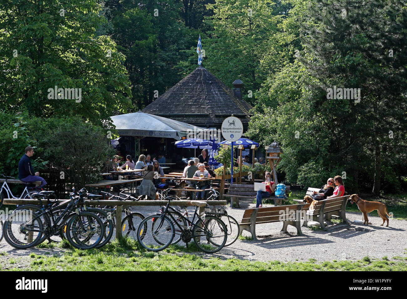 Munich hofbraeuhaus hires stock photography and images Alamy