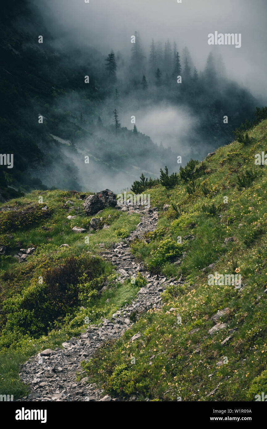 hiking trail in a foggy forest, E5, Alpenüberquerung, 2nd stage, Lechtal, Kemptner Hütte to Memminger Hütte, tyrol, austria, Alps Stock Photo