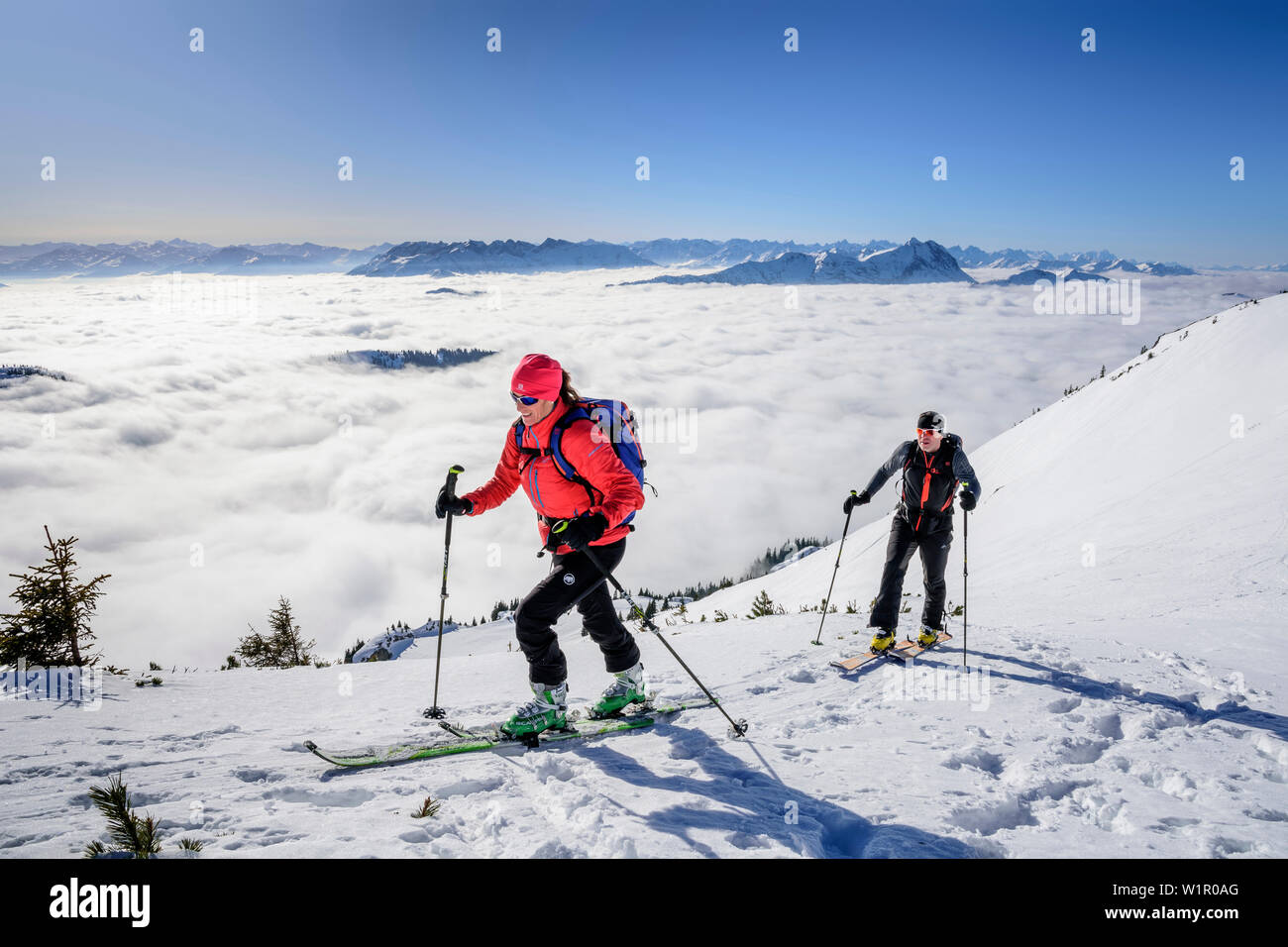 Woman and man backcountry skiing ascending towards Hinteres Sonnwendjoch, fog in the valley, Hinteres Sonnwendjoch, Bavarian Alps, Tirol, Austria Stock Photo
