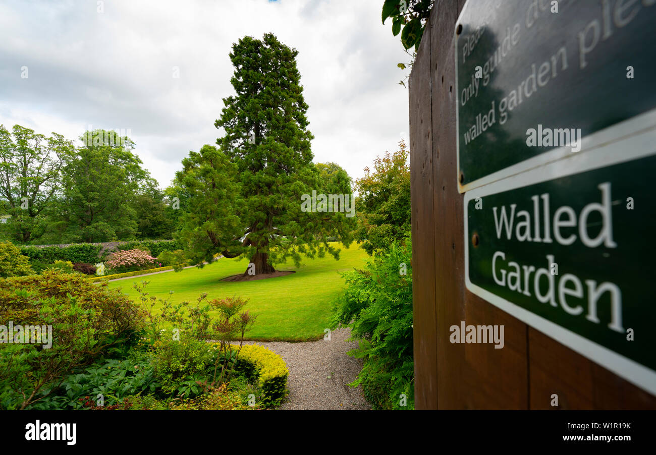 Walled garden at NTS Geilston Garden in Cardross, Argyll and Bute, Scotland, UK Stock Photo