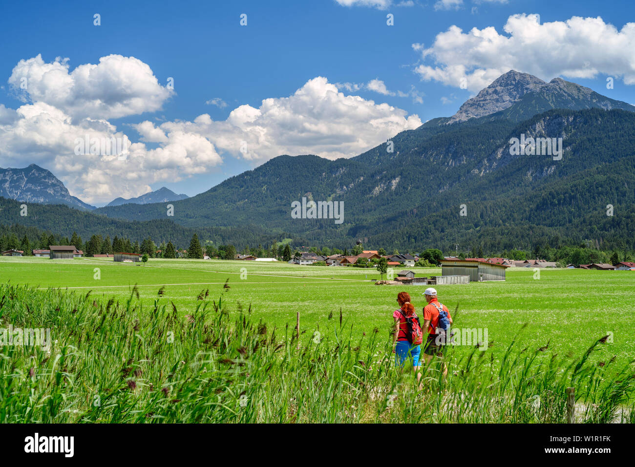 Man and woman hiking on Lechweg, Lechtal Alps in background, Weissenbach, Lechweg, valley of Lech, Tyrol, Austria Stock Photo
