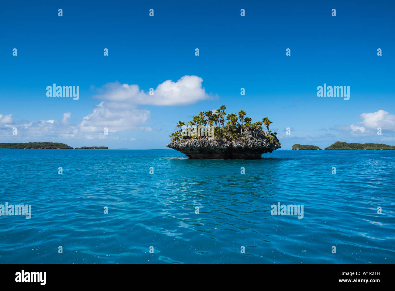 A tiny mushroom-shaped island covered with palm trees and bushes stands in turquoise waters, Fulaga Island, Lau Group, Fiji, South Pacific Stock Photo